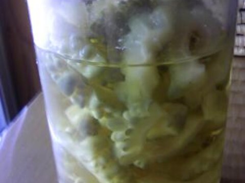 ゴーヤを保存しよう ゴーヤのピクルス レシピ 作り方 By 篠山おしん 楽天レシピ ゴーヤを保存しよう ゴーヤのピクルス レシピ 作り方 By 篠山おしん 楽天レシピ